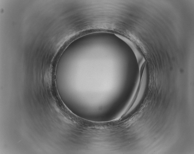 X0000088580580200706081125