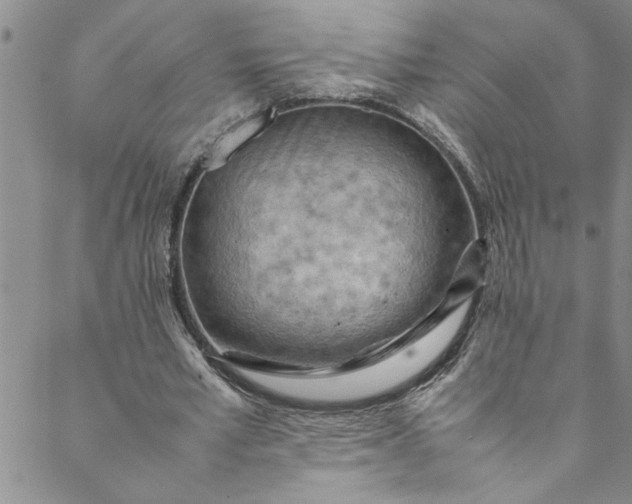 X0000088580581200706081125