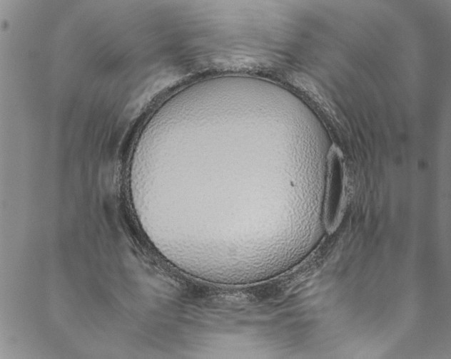 X0000088580583200706081125