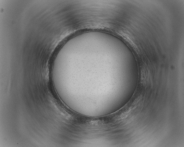 X0000088580584200706081125