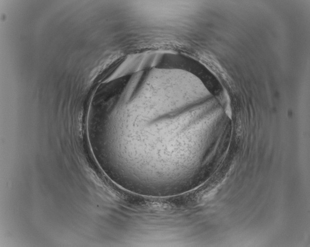 X0000088580585200706081125