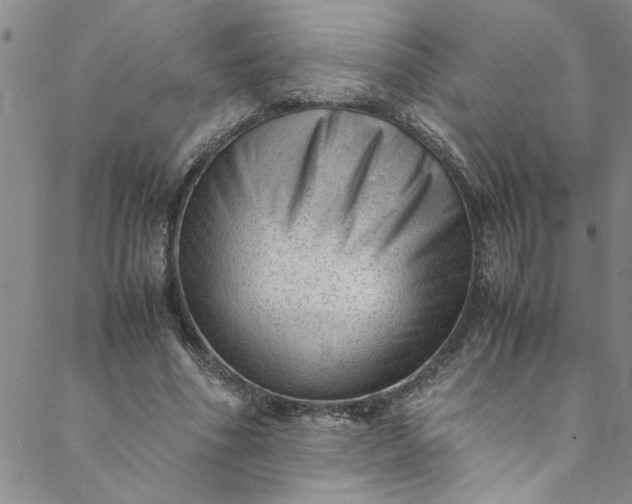 X0000088580586200706081125