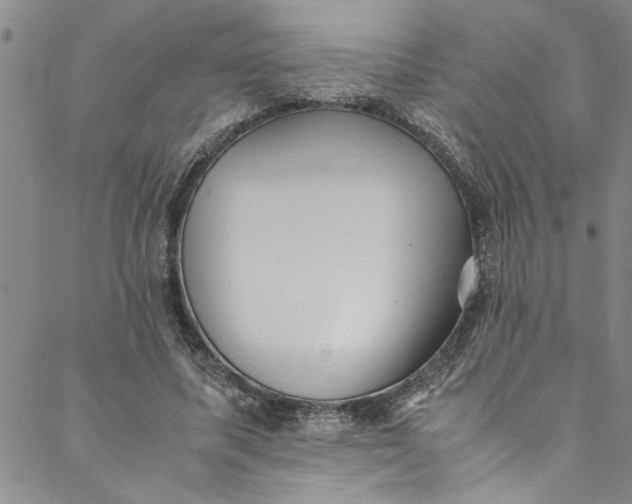 X0000088580587200706081125