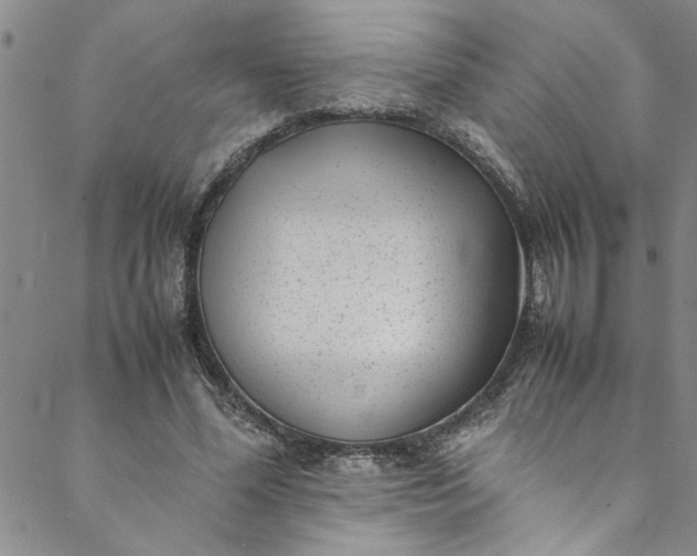 X0000088580588200706081125