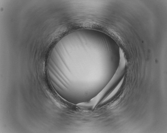 X0000088580589200706081125