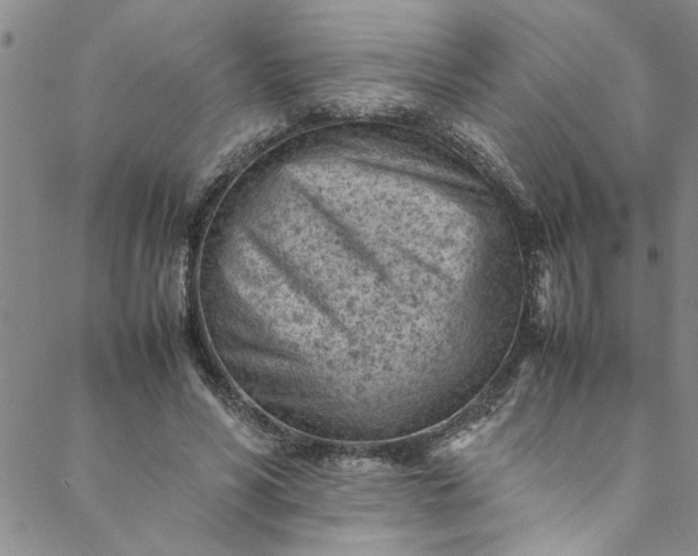 X0000088580590200706081125