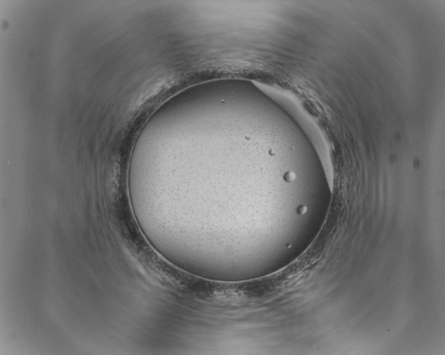 X0000088580591200706081125