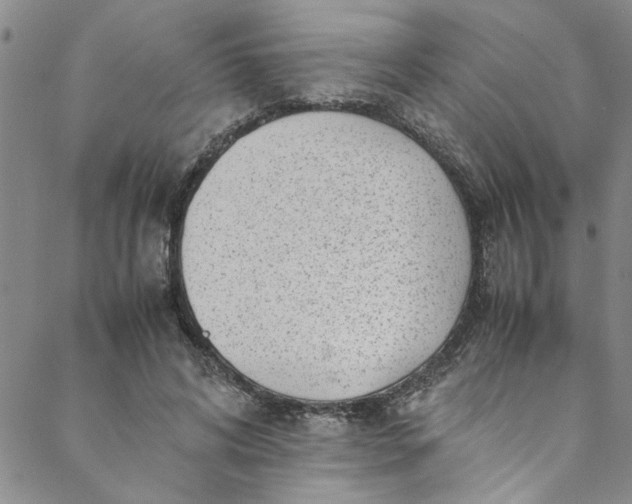 X0000088580592200706081125