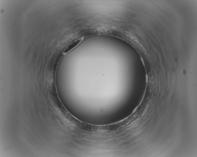 X0000088580593200706081125