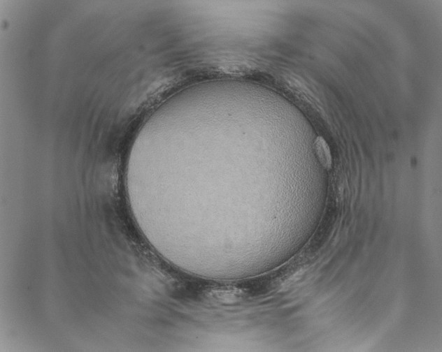 X0000088580595200706081125