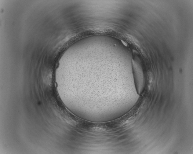 X0000088580596200706081125