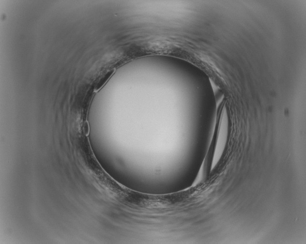 X0000088580597200706081125