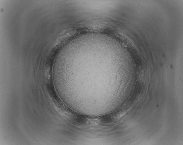 X0000088580599200706081124