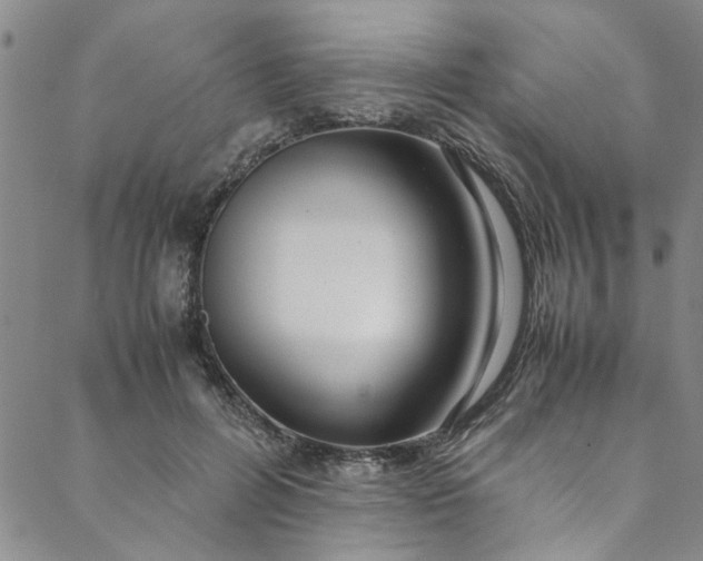 X0000088580600200706081124