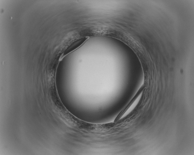 X0000088580601200706081124