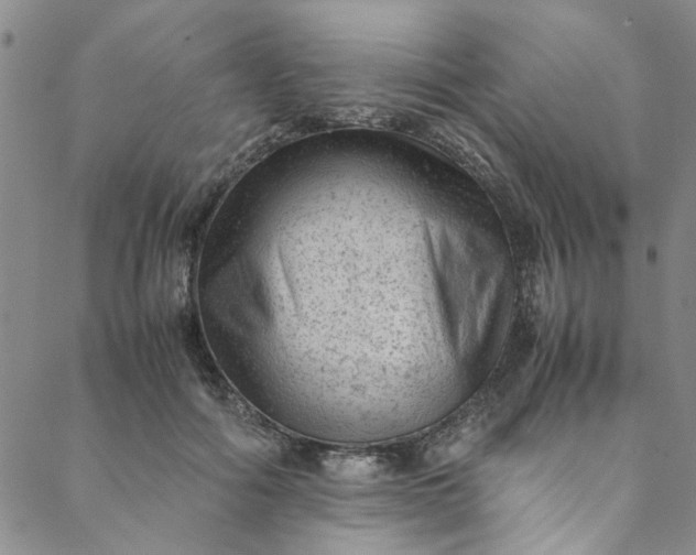 X0000088580602200706081124