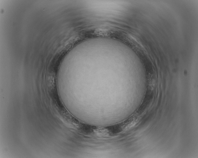 X0000088580603200706081124