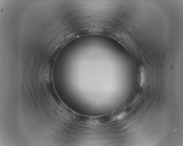 X0000088580604200706081124