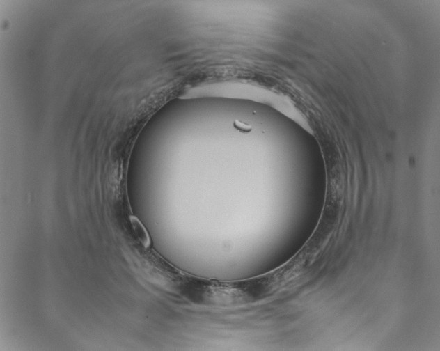 X0000088580605200706081124