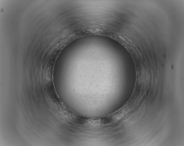 X0000088580606200706081124