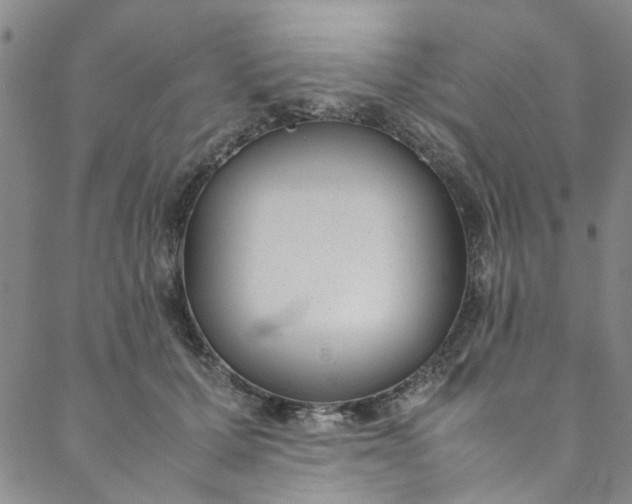 X0000088580607200706081124