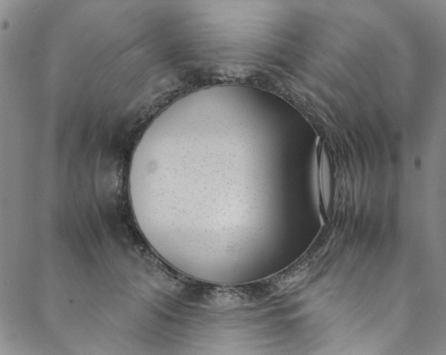 X0000088580608200706081124