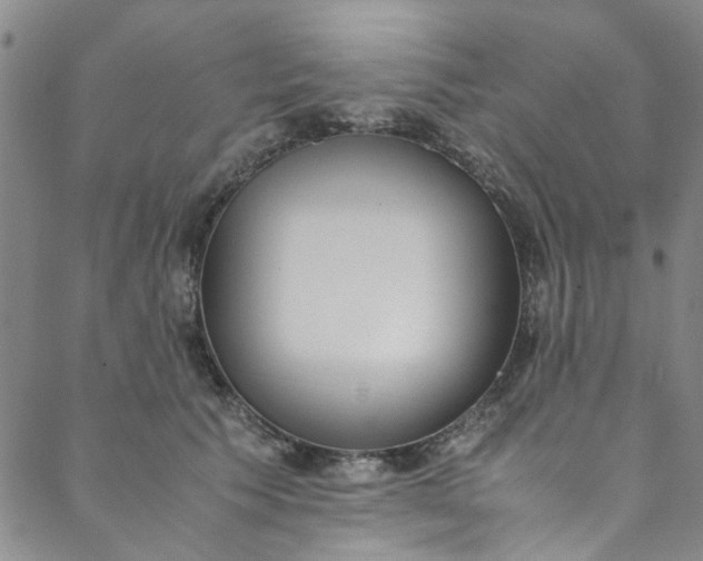 X0000088580609200706081124