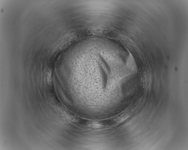 X0000088580610200706081124