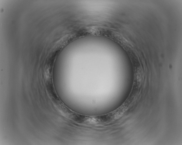 X0000088580611200706081124