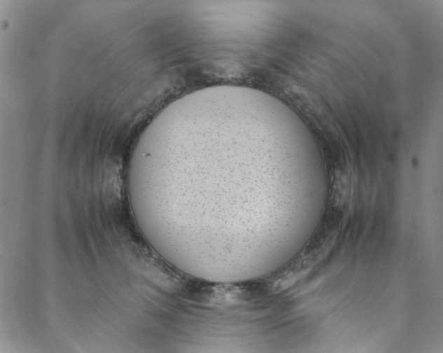 X0000088580612200706081124