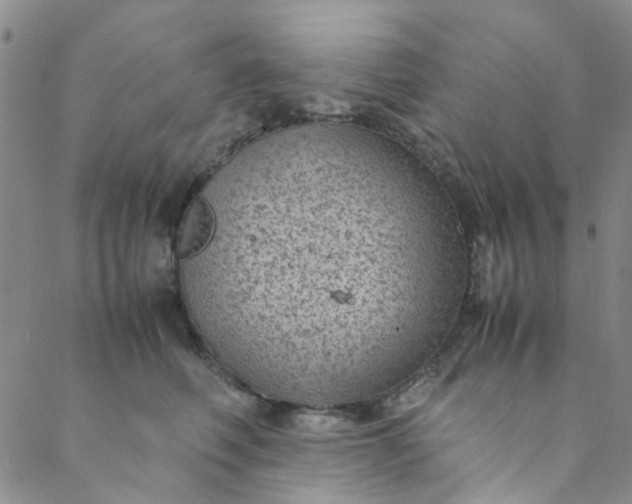 X0000088580614200706081124