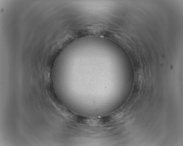 X0000088580615200706081124