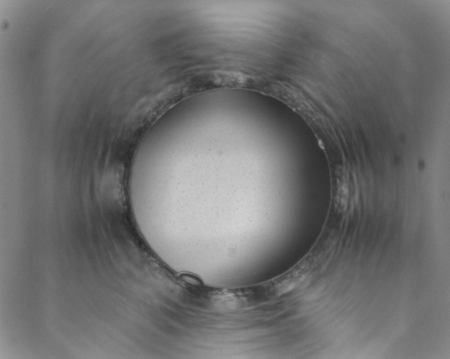 X0000088580616200706081124