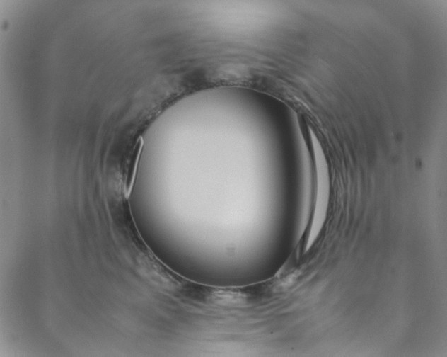 X0000088580617200706081124