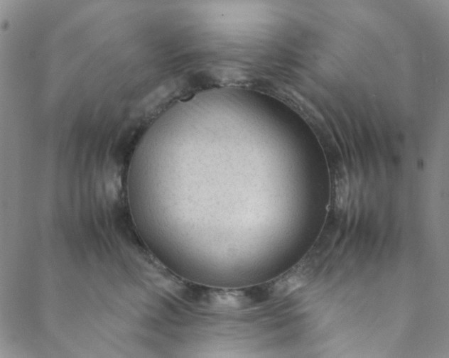 X0000088580618200706081124