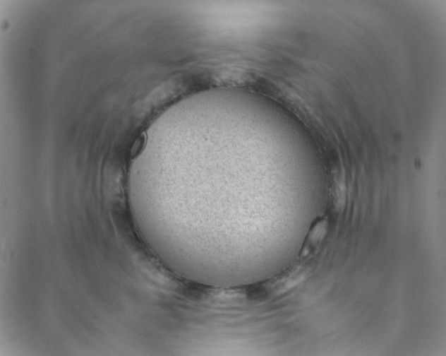 X0000088580619200706081124