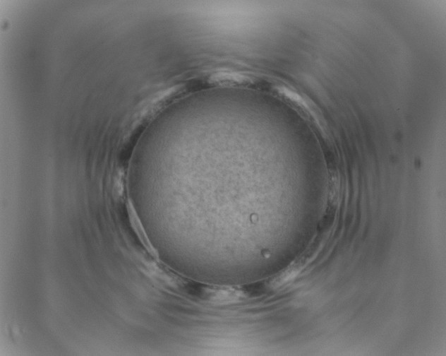 X0000088580621200706081124