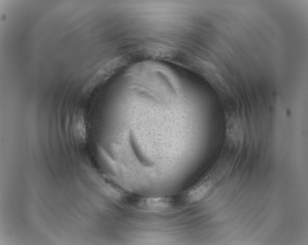 X0000088580622200706081124