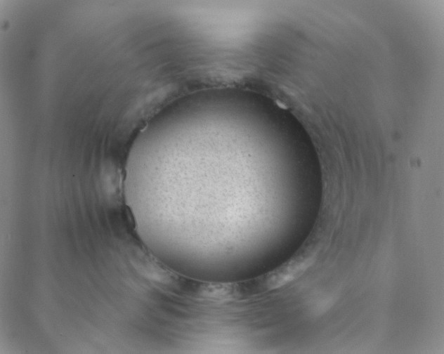 X0000088580624200706081124