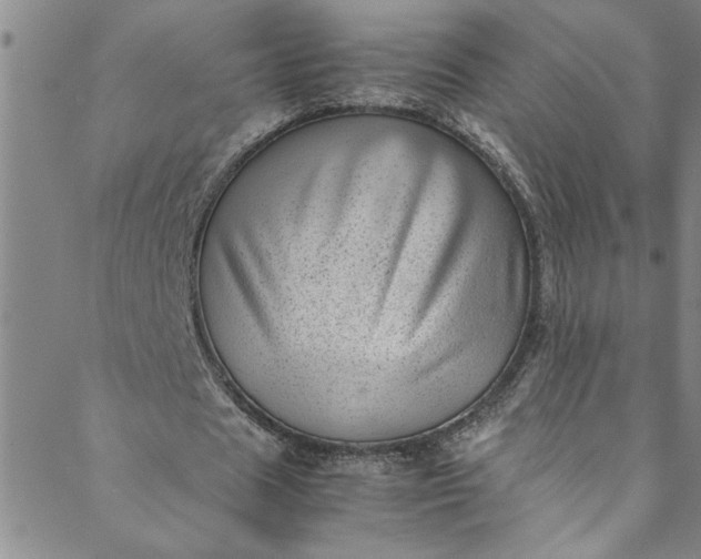 X0000088580625200706081123