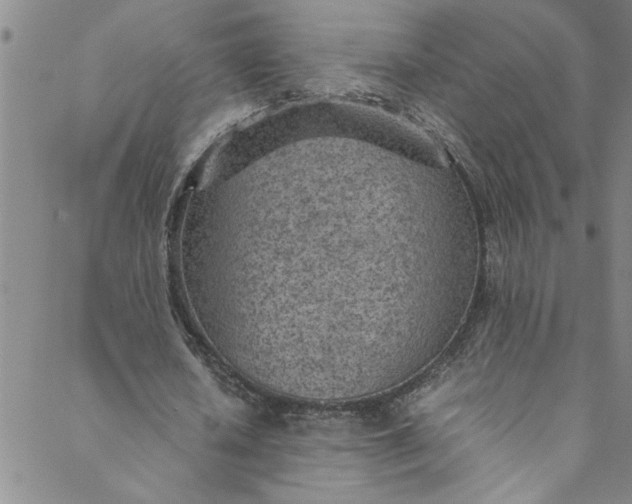 X0000088580626200706081123