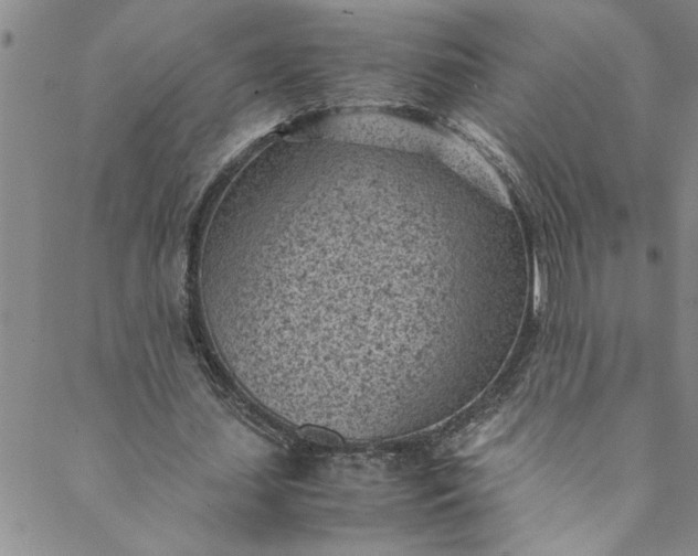 X0000088580627200706081123