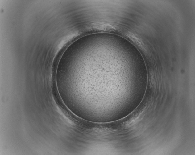 X0000088580630200706081123