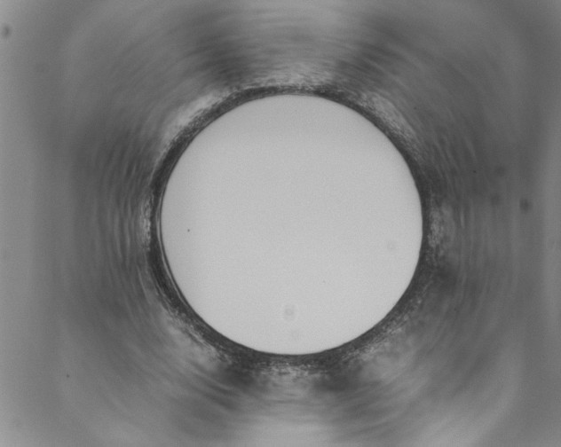 X0000088580632200706081123