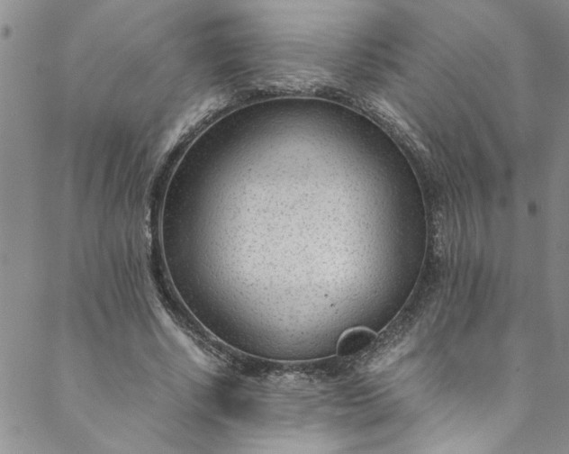 X0000088580634200706081123