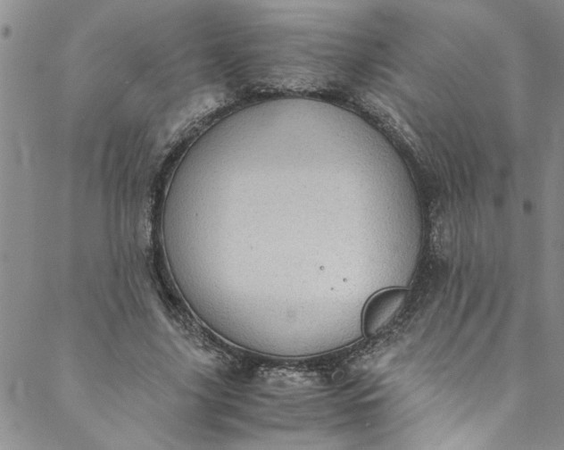 X0000088580635200706081123