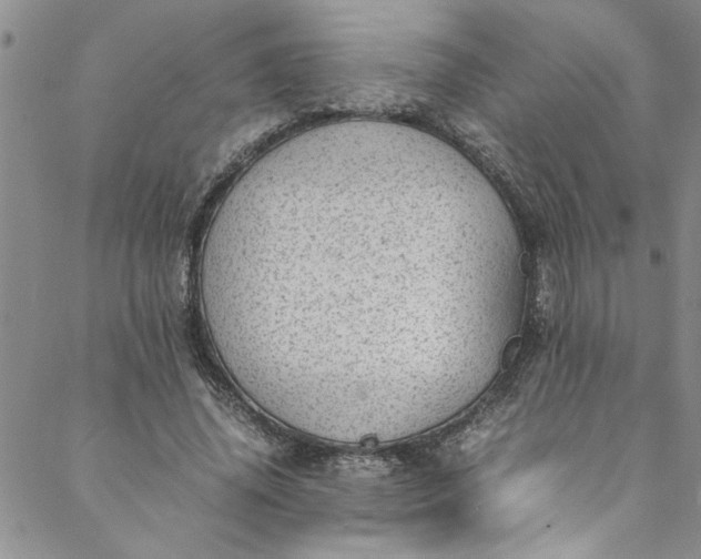 X0000088580636200706081123