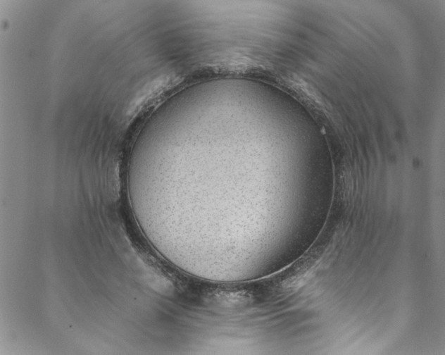 X0000088580638200706081124