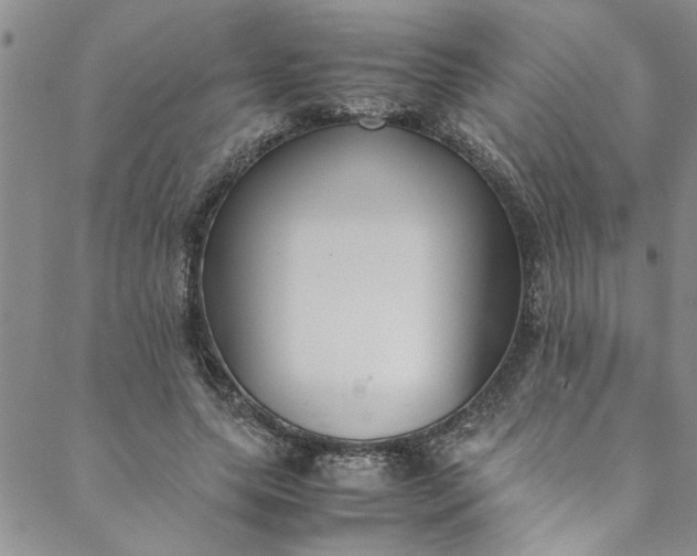 X0000088580639200706081124