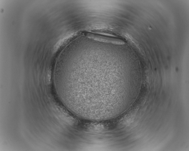 X0000088580640200706081124